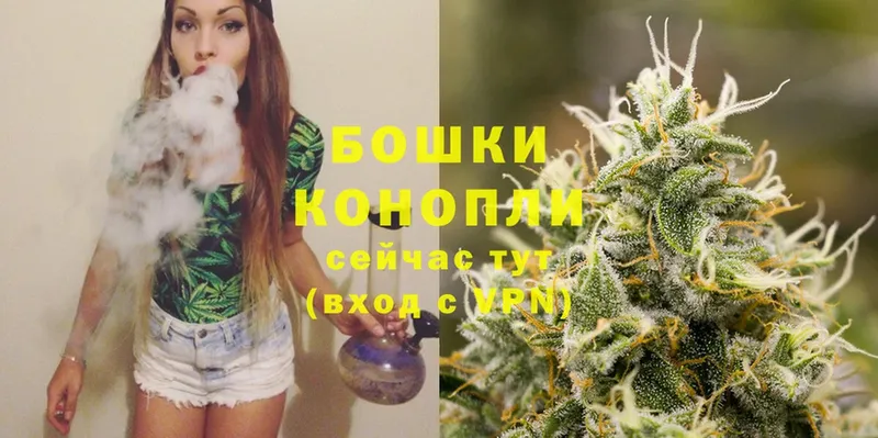 Шишки марихуана SATIVA & INDICA  цены   Опочка 